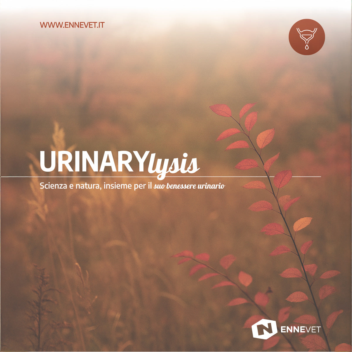 URINARYlysis