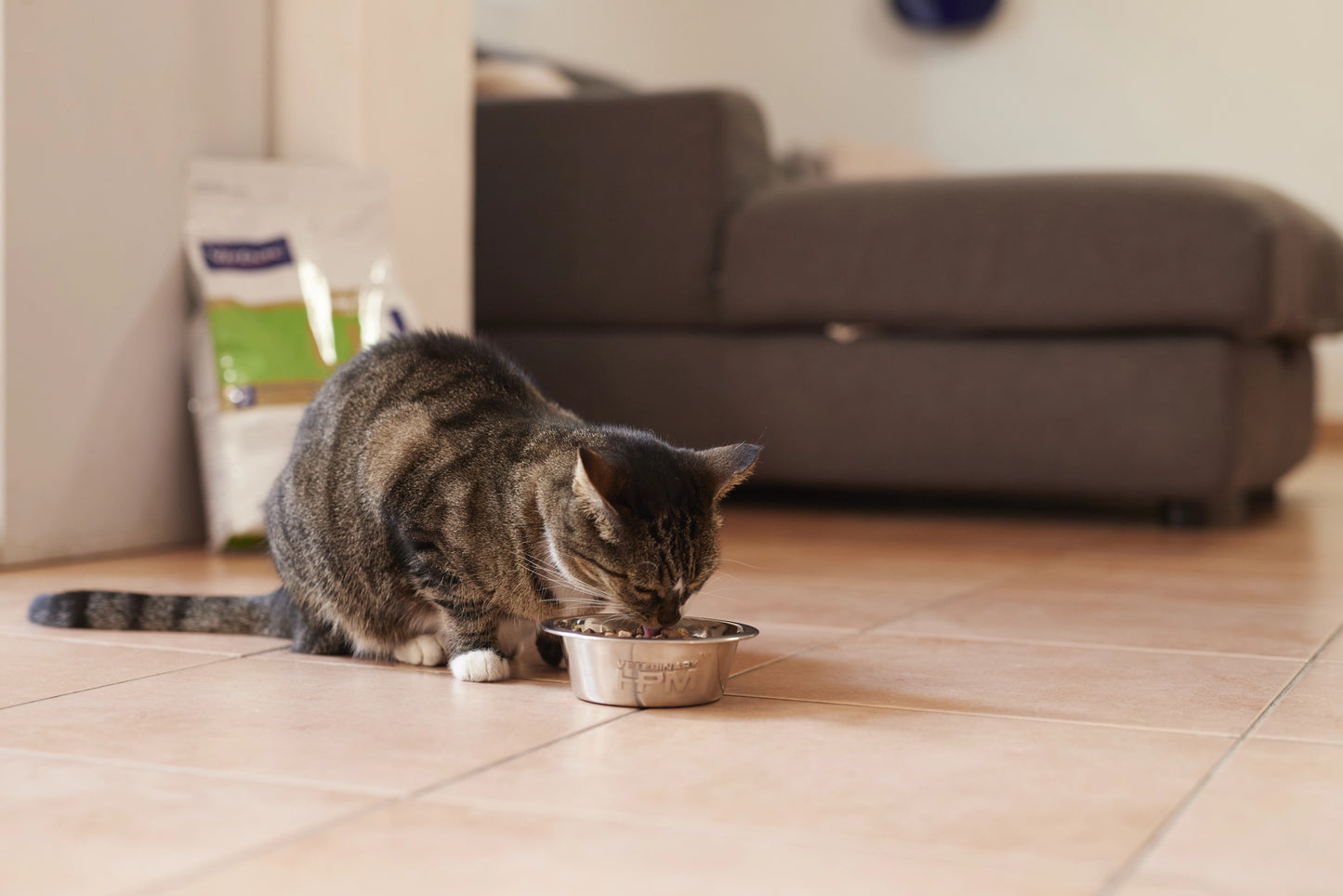 Digestive Support G1 – Crocchette per gatti con problemi digestivi