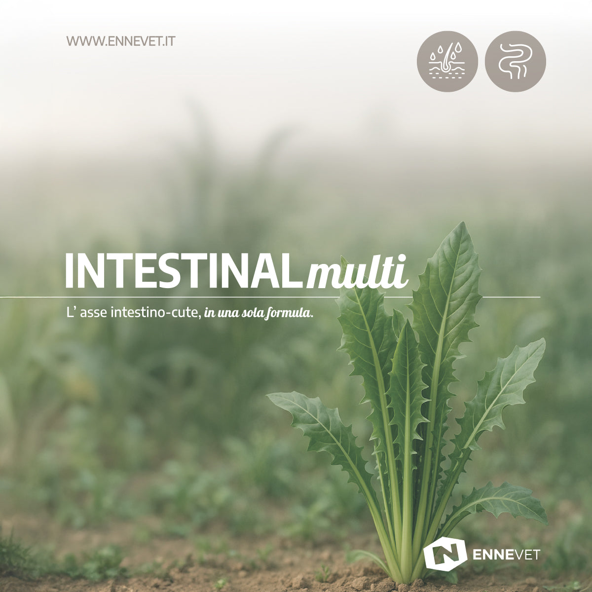 INTESTINALmulti