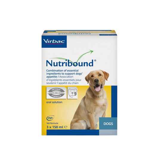 Nutribound® – mangime complementare nutrizionale liquido per il recupero di cani e gatti