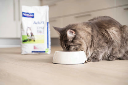 Adult Neutered Cat – Crocchette per gatti adulti sterilizzati