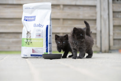 Kitten Pre Neutered – Crocchette Bilanciate per Gattini