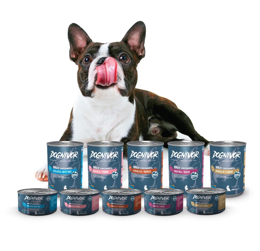 DOGNIVOR®