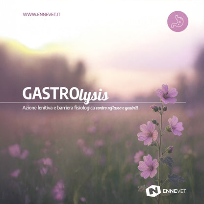 GASTROlysis