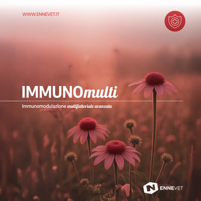 IMMUNOmulti