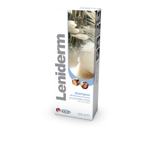 Leniderm shampoo 250ml