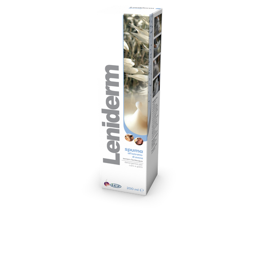 Leniderm spuma 200ml