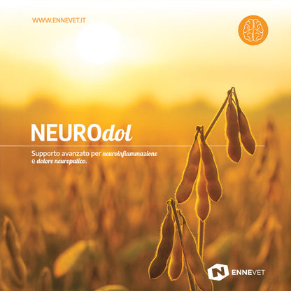 NEUROdol