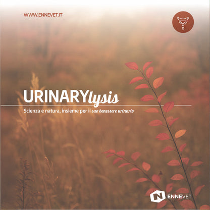 URINARYlysis