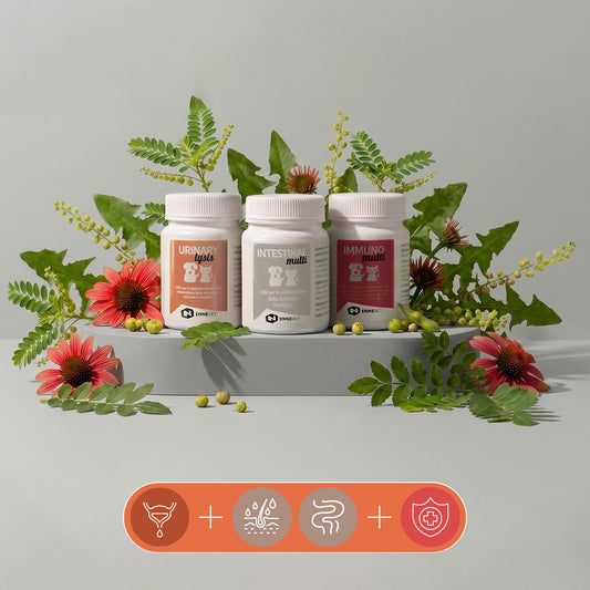 Urinary Total Care Trio | Supporto completo: vie urinarie, intestino e difese