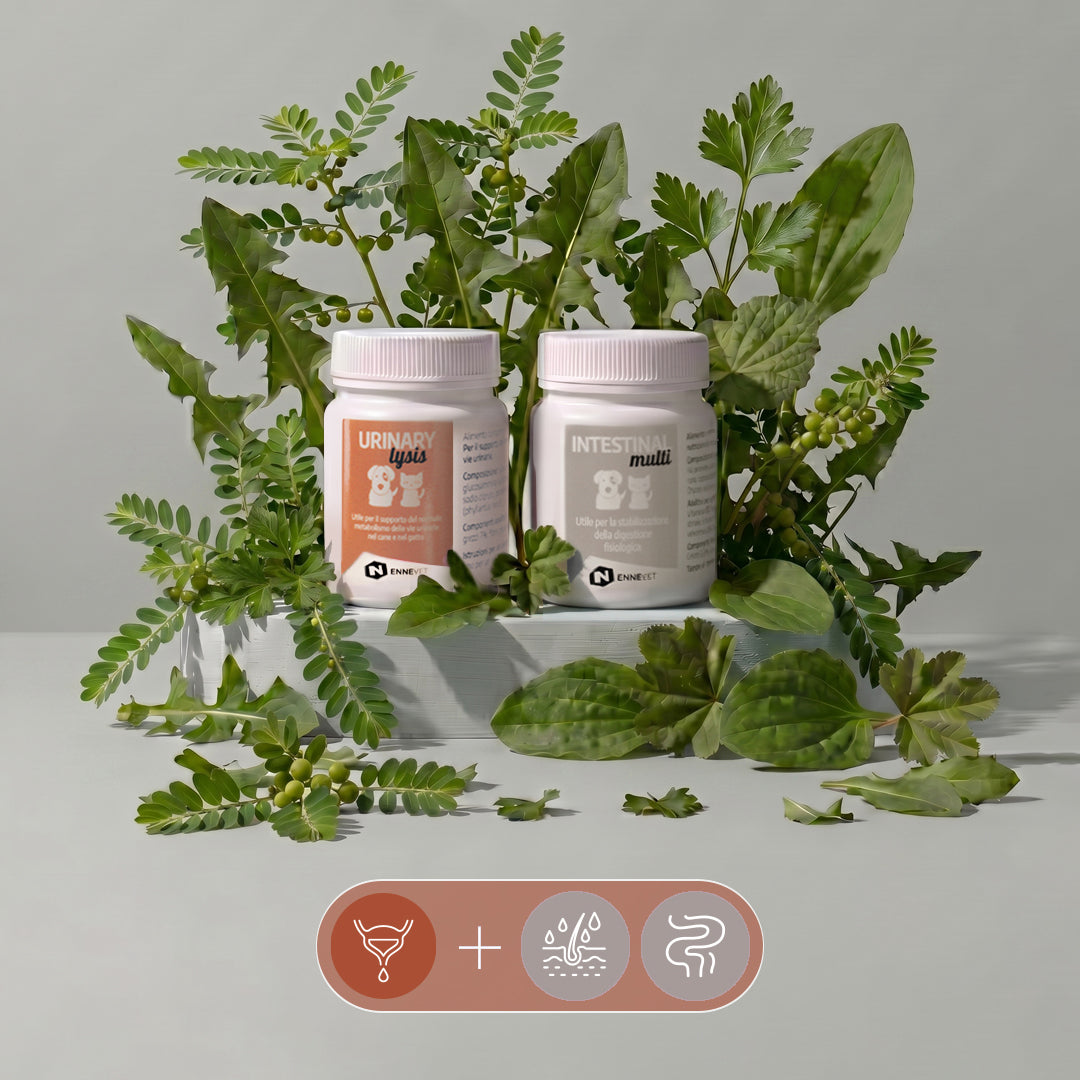 Urinary & Intestinal Balance Duo | Equilibrio urinario e intestinale