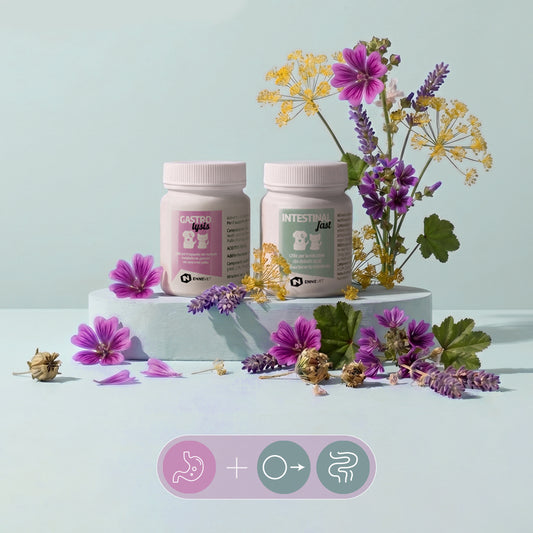 Intestino Fast Duo | Supporto gastro-intestinale per cane e gatto