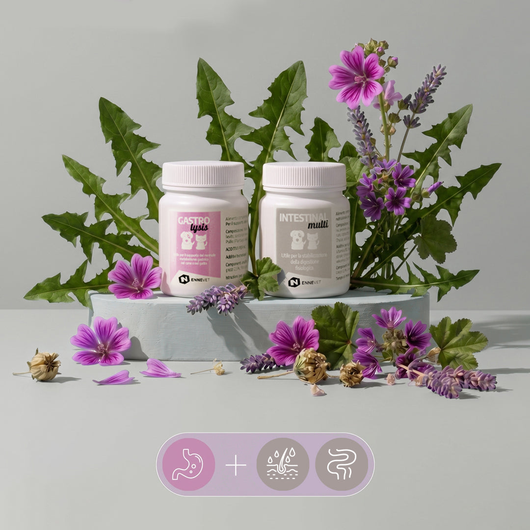 Digestione Equilibrata Duo | Routine digestiva per cane e gatto