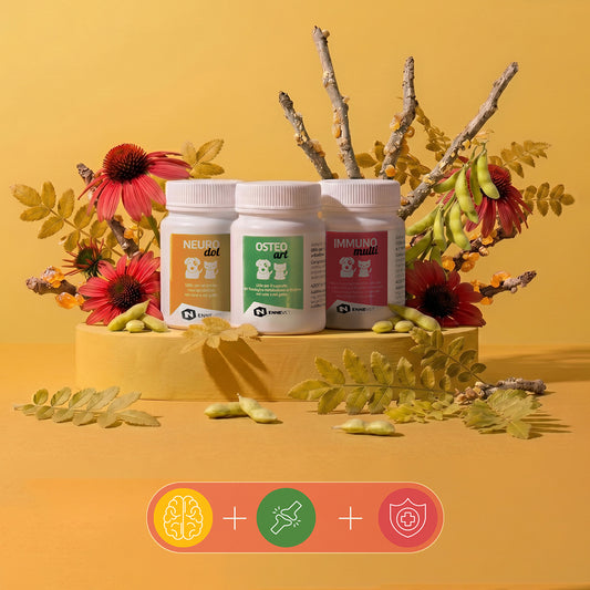 Senior Care Trio | Supporto completo per il benessere del pet senior