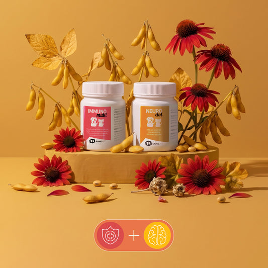 Difese & Vitalità Duo | Supporto per energia, difese e benessere funzionale
