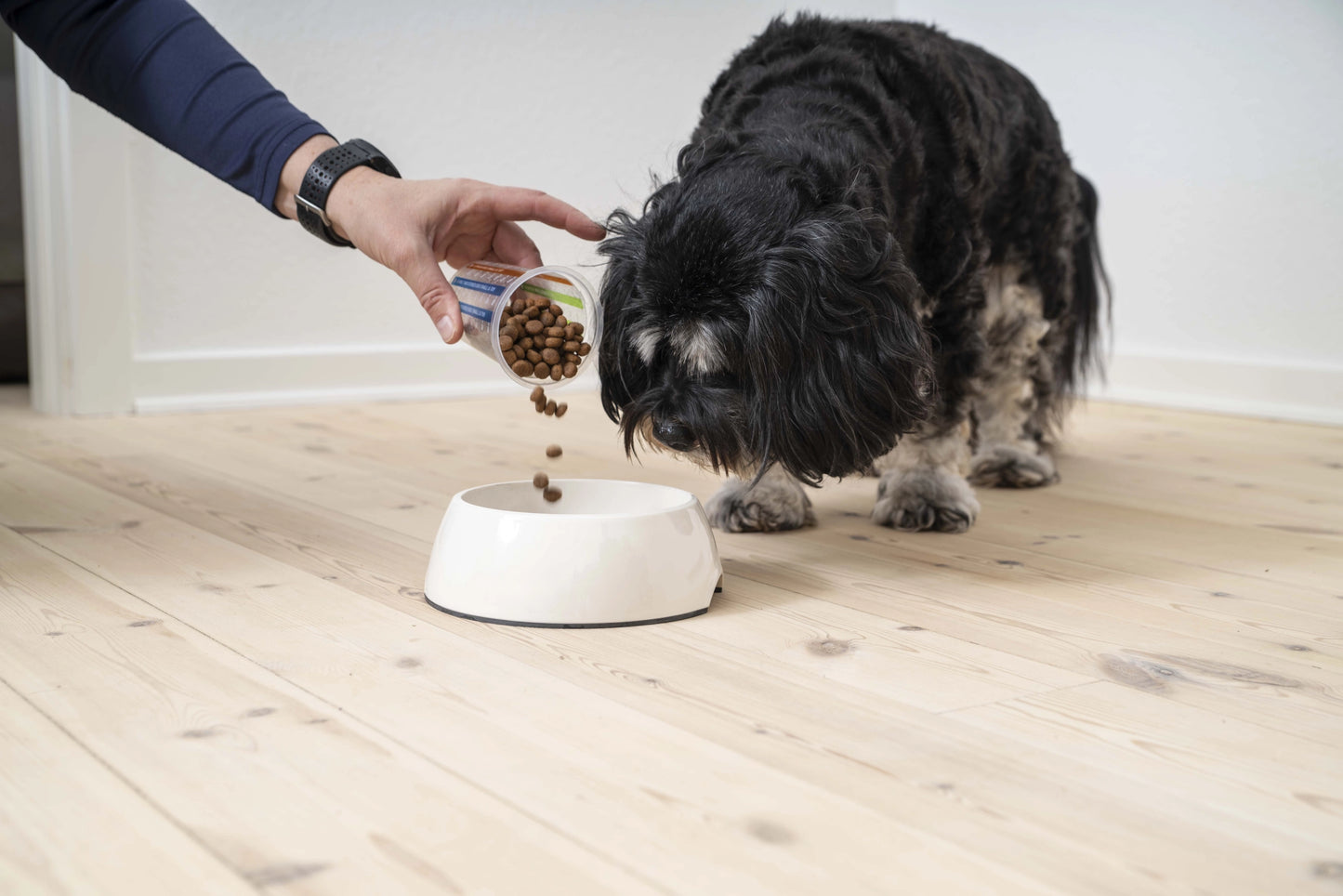 Adult Neutered Dog Small & Toy – Crocchette per cani di piccola taglia