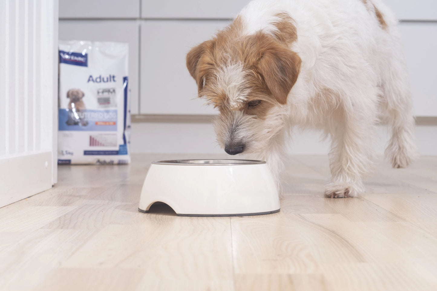 Adult Neutered Dog Small & Toy – Crocchette per cani di piccola taglia