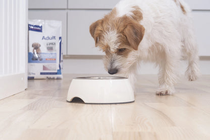 Adult Neutered Dog Small & Toy – Crocchette per cani di piccola taglia