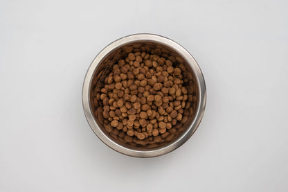 Digestive Support G1 – Crocchette per gatti con problemi digestivi