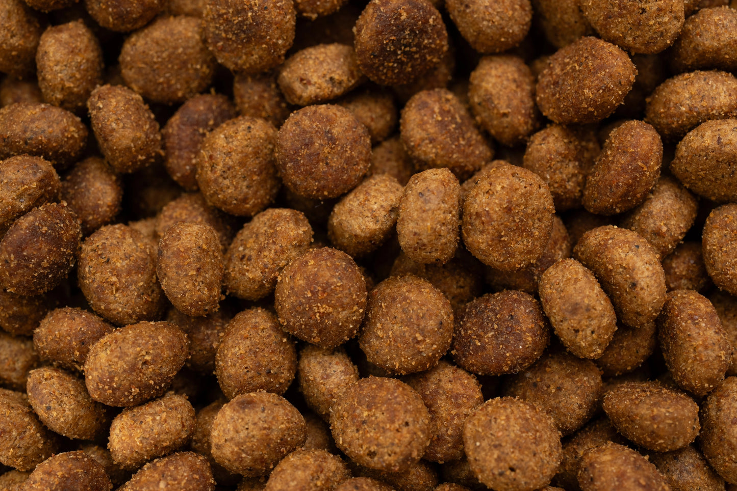 Digestive Support G1 – Crocchette per gatti con problemi digestivi