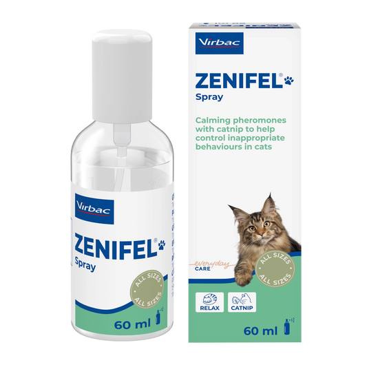 Zenifel Spray calmante per la gestione dello stress nel gatto