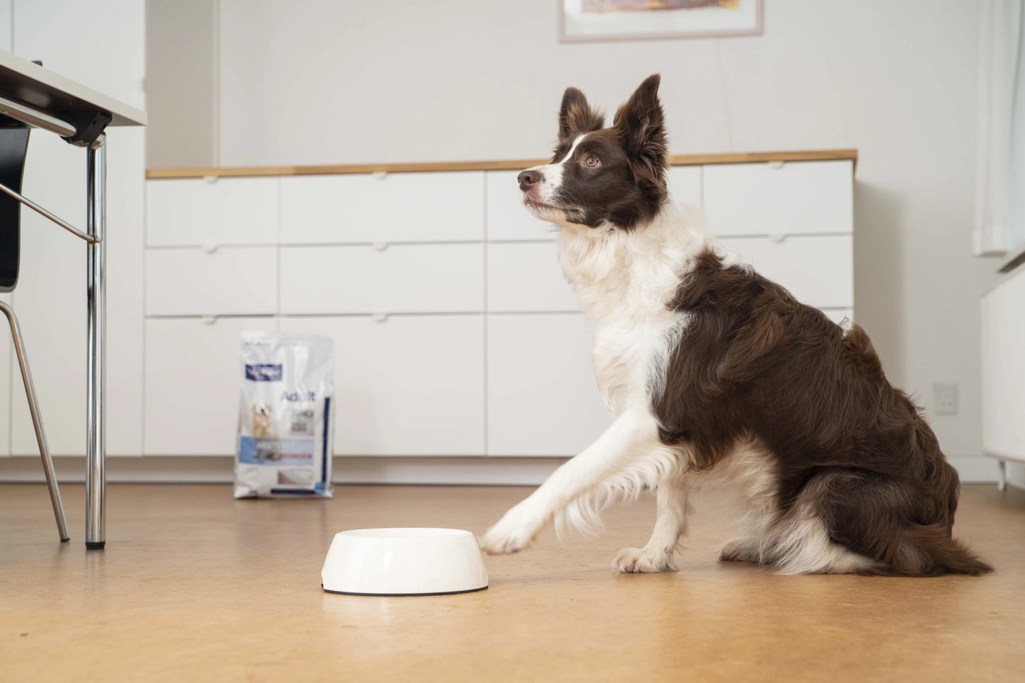 Adult Neutered Large & Medium Dog - Crocchette per cani adulti sterilizzati di taglia media e grande