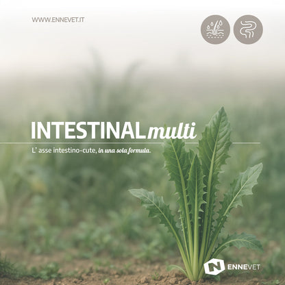 INTESTINALmulti