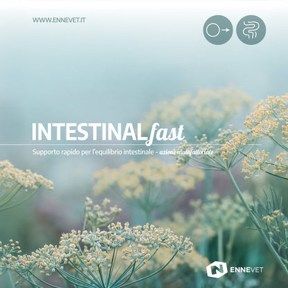 INTESTINALfast