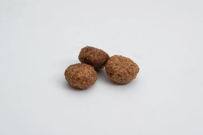 Digestive Support G1 – Crocchette per gatti con problemi digestivi